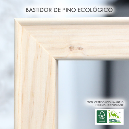 QUADRO EM TELA BULLDOG 1423 - VARIAS MEDIDAS DISPONIVEIS