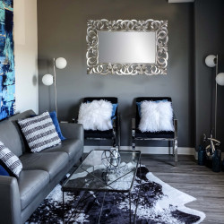 ESPEJO DECORATIVO BERROCAL PLATA 88x128 cm 2